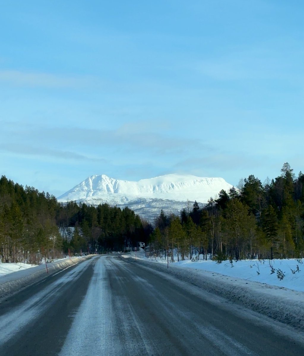 Samuli Haapala tweet media