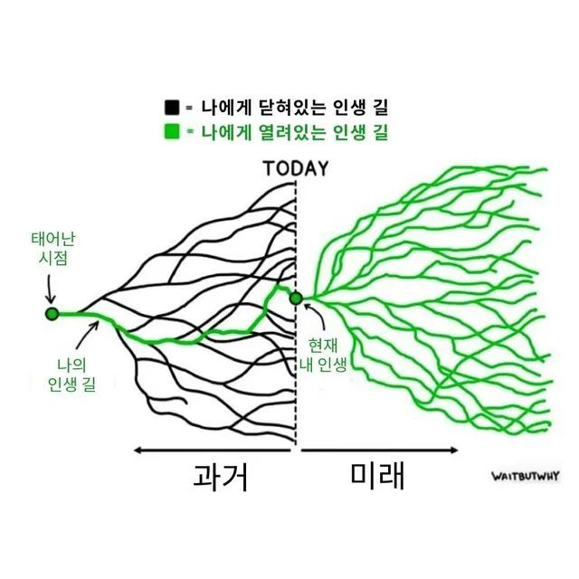 WkfxjfrP's tweet photo. 내 인생이 망했다는 생각이 들 때 보면 좋은 짤 https://t.co/7g4WaAD8sP