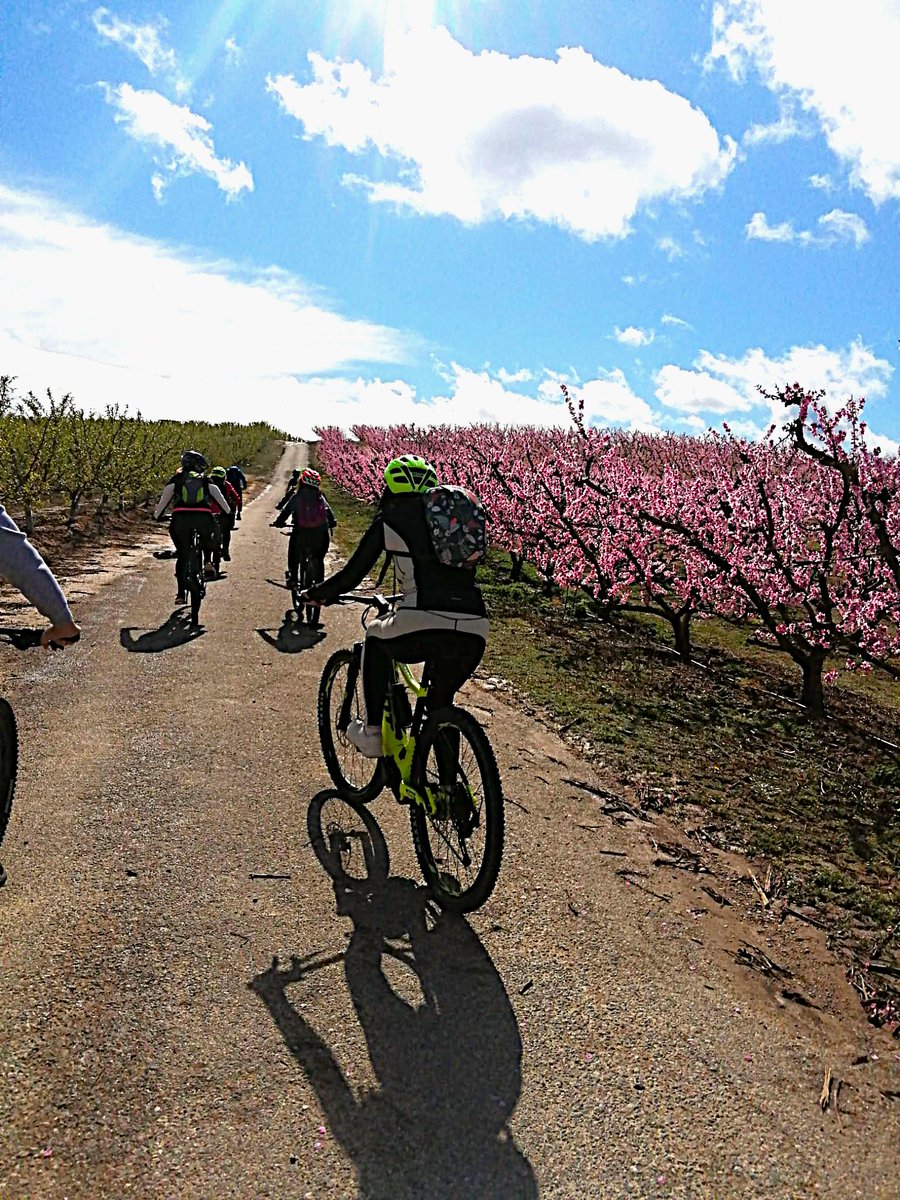 Lleida Turisme tweet media