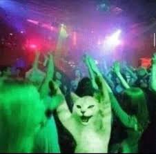 Aurora Sprintah tweet media