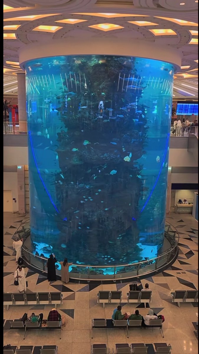 malsadhan01's tweet photo. حوض السمك في #مطار_الملك_عبدالعزيز_الدولي عنصر جميل بالمطار، لكن الإضاءة حوله أقوى من إضاءته ففقد كثير من جماله.
جربت تعديل الإضاءة بالذكاء الاصطناعي وتخيلت كيف ممكن يظهر لو ركزت الإضاءة عليه.

أتمنى تحسين الإضاءة ليبرز بشكل أجمل.
@CEO_JEDCO @JedcoKSA @MATARAT_KSA @KAIAirport https://t.co/CJTTNNiYxR