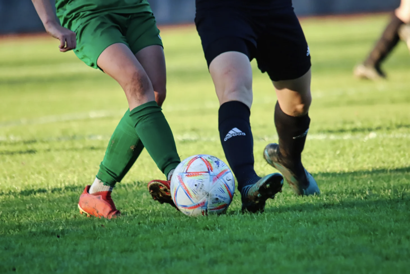 PINESorg tweet media