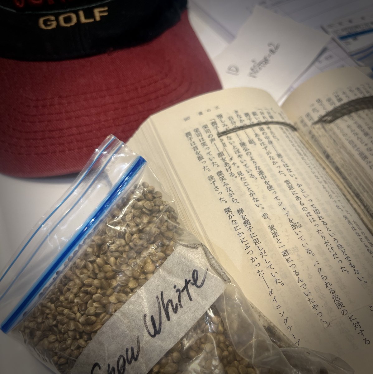 Stranger(映画館ストレンジャー) tweet media