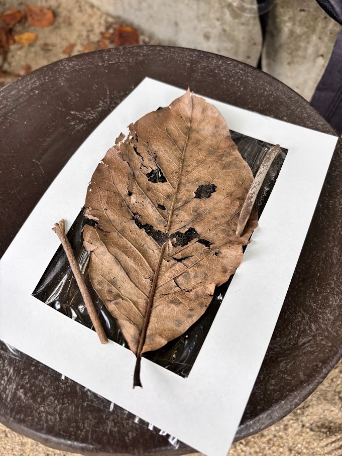 総合学園ヒューマンアカデミー大阪心斎橋校 tweet media