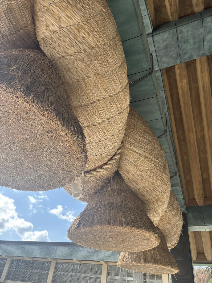 たこ顔🐙🛹👑 tweet media