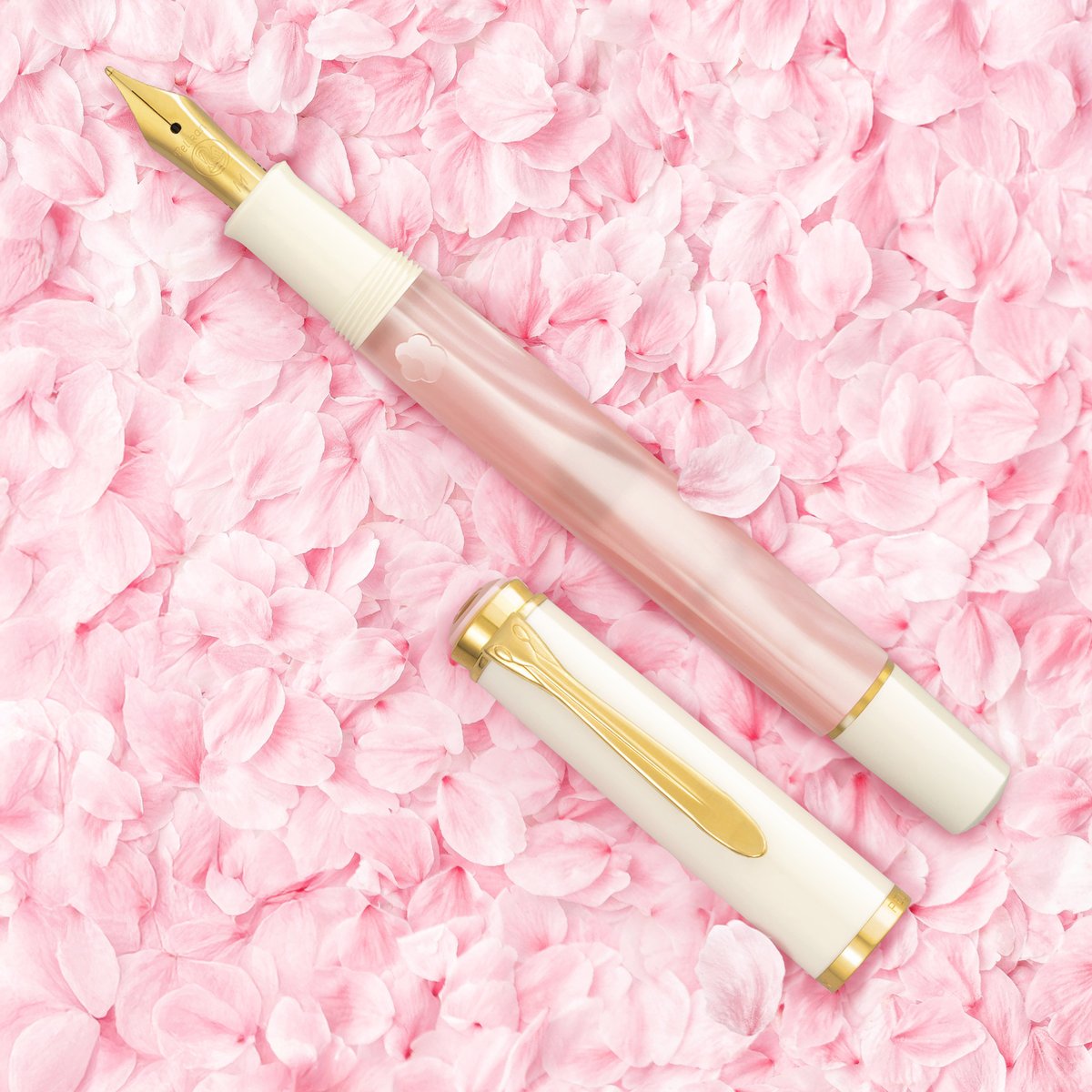 베스트펜 tweet media