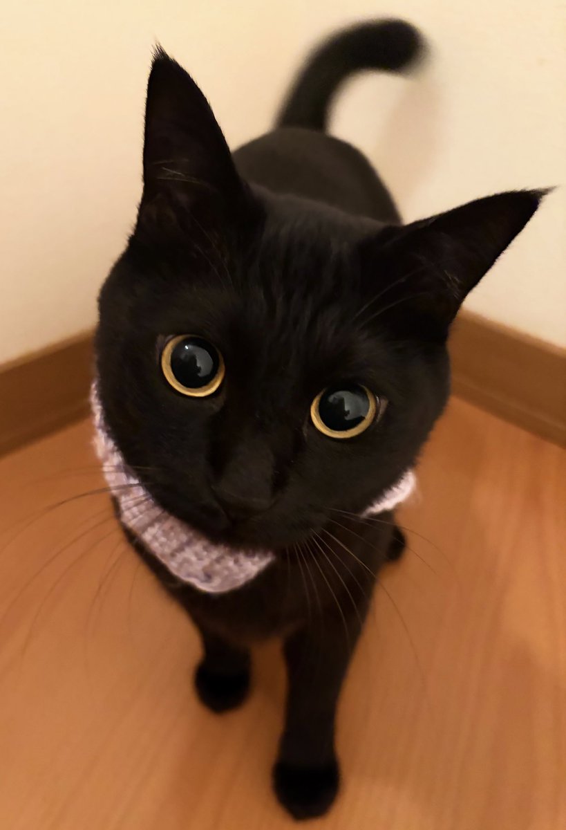 うに3才 tweet media