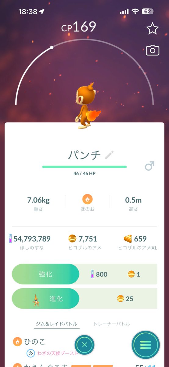 ヤッコ tweet media