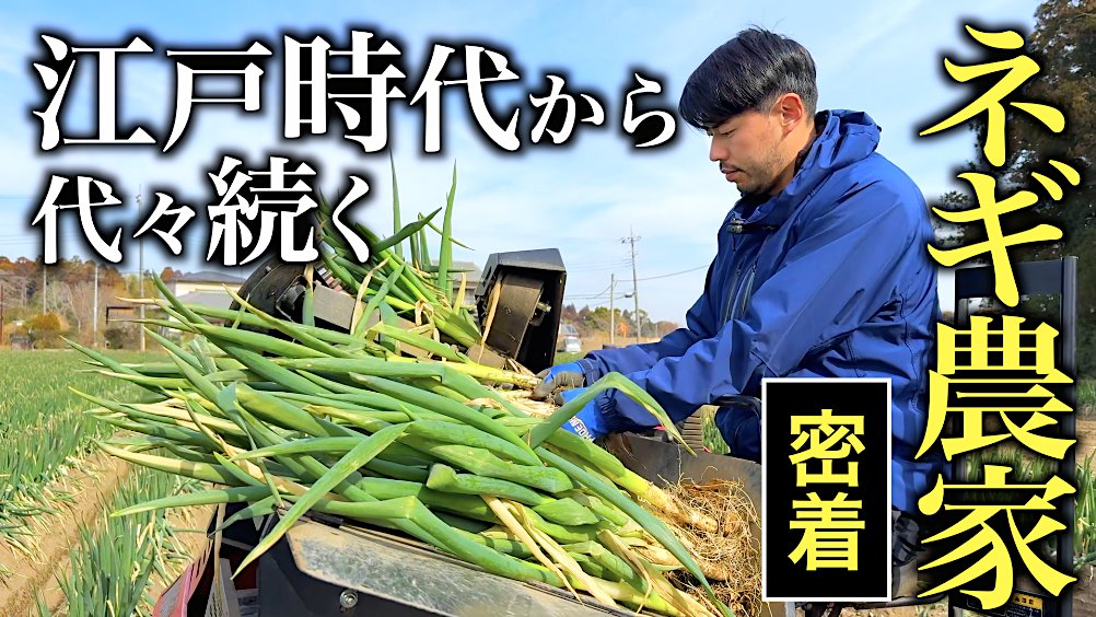 cyclegadget_tv's tweet photo. 江戸時代から代々続く、千葉県茂原市のネギ農家さん🌞

会社員を辞めて、祖父母が守り抜いてきた広大な畑に身を投じた(29歳)のリアルに密着！

日々のルーティン、収穫・管理に伴う具体的な苦労、実際に現場に入って実感した農業の面白さなど短編映画を見る感覚でどうぞ！！

https://t.co/FPyXK3EUZO https://t.co/bCVROFTVva