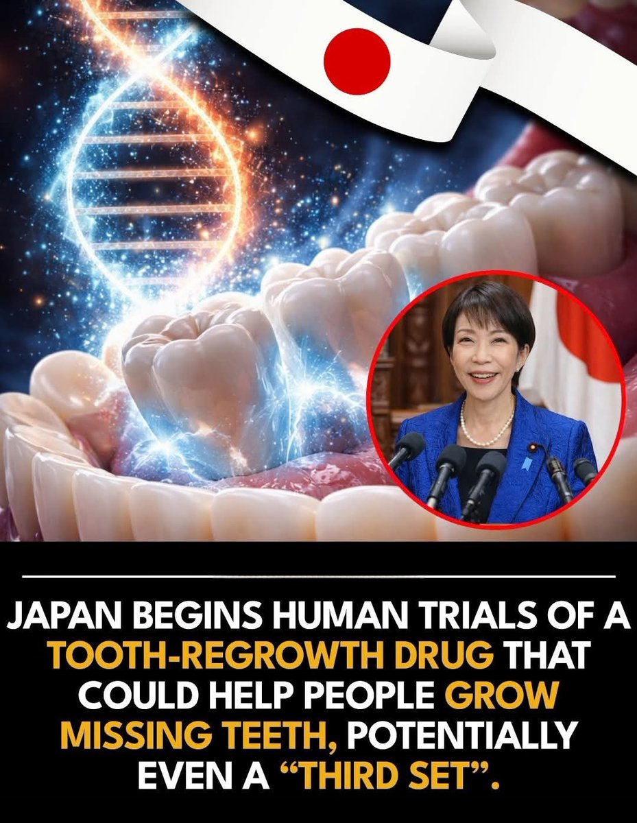 Shining Science tweet media