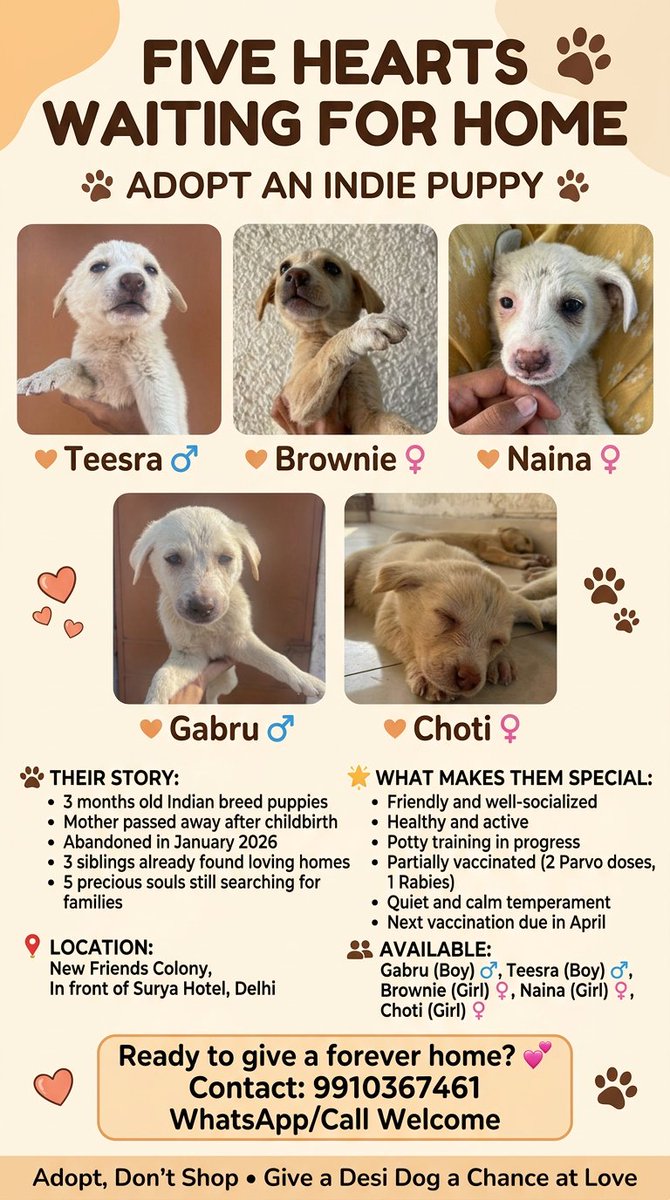 Yaruqhullah Khan tweet media