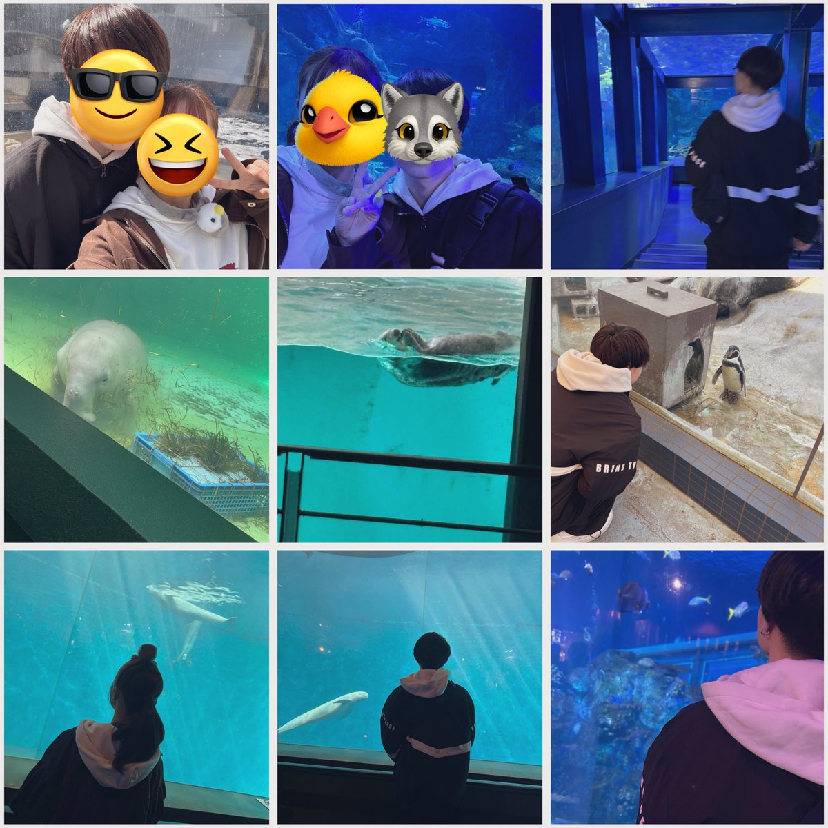 カービィこぴ㌥🐥⸒⸒ tweet media