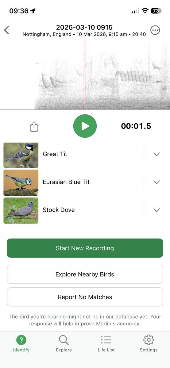 NG4 online tweet media