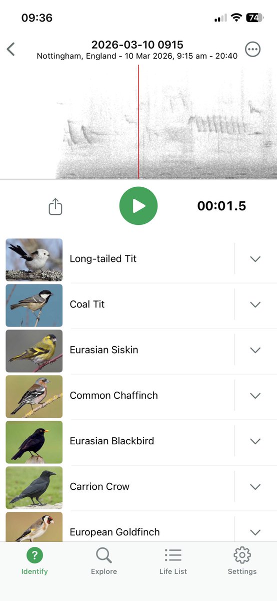 NG4 online tweet media