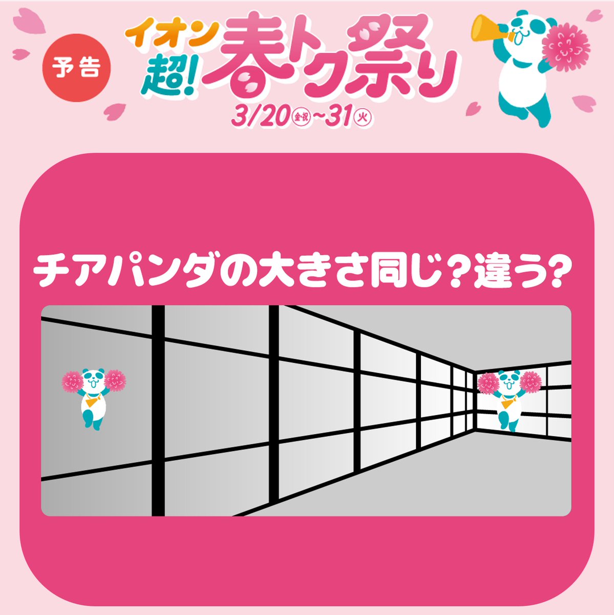 チアパンダからの問題💡 チアパンダの大きさ 同じ❓️それとも違う