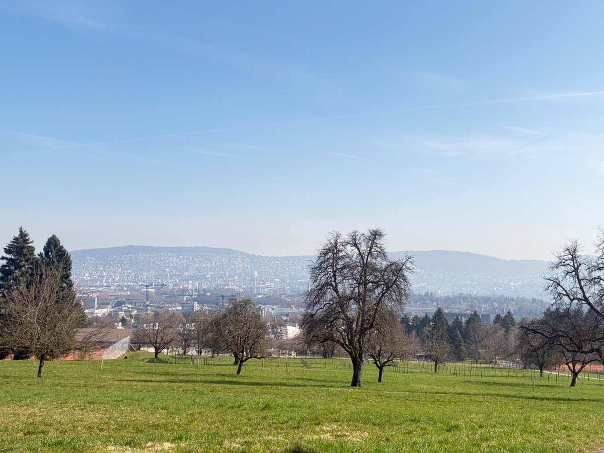 #zurich