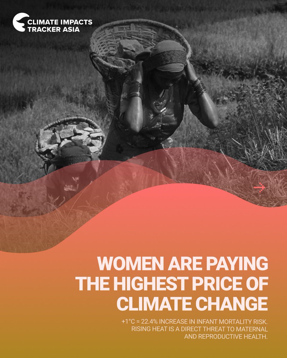 Climate Impacts Tracker Asia tweet media