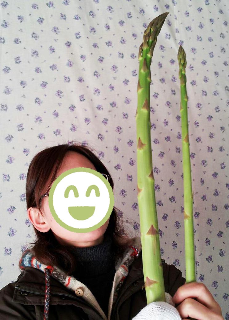 こんばんは。新潟のトマト農家です。

太いアスパラガスはすごく柔らかいのですが、かたいと勘違いして敬遠する人が多いです。

手に取ってもらえるように、今年も「エクスカリバー」の商品名で販売予定です！