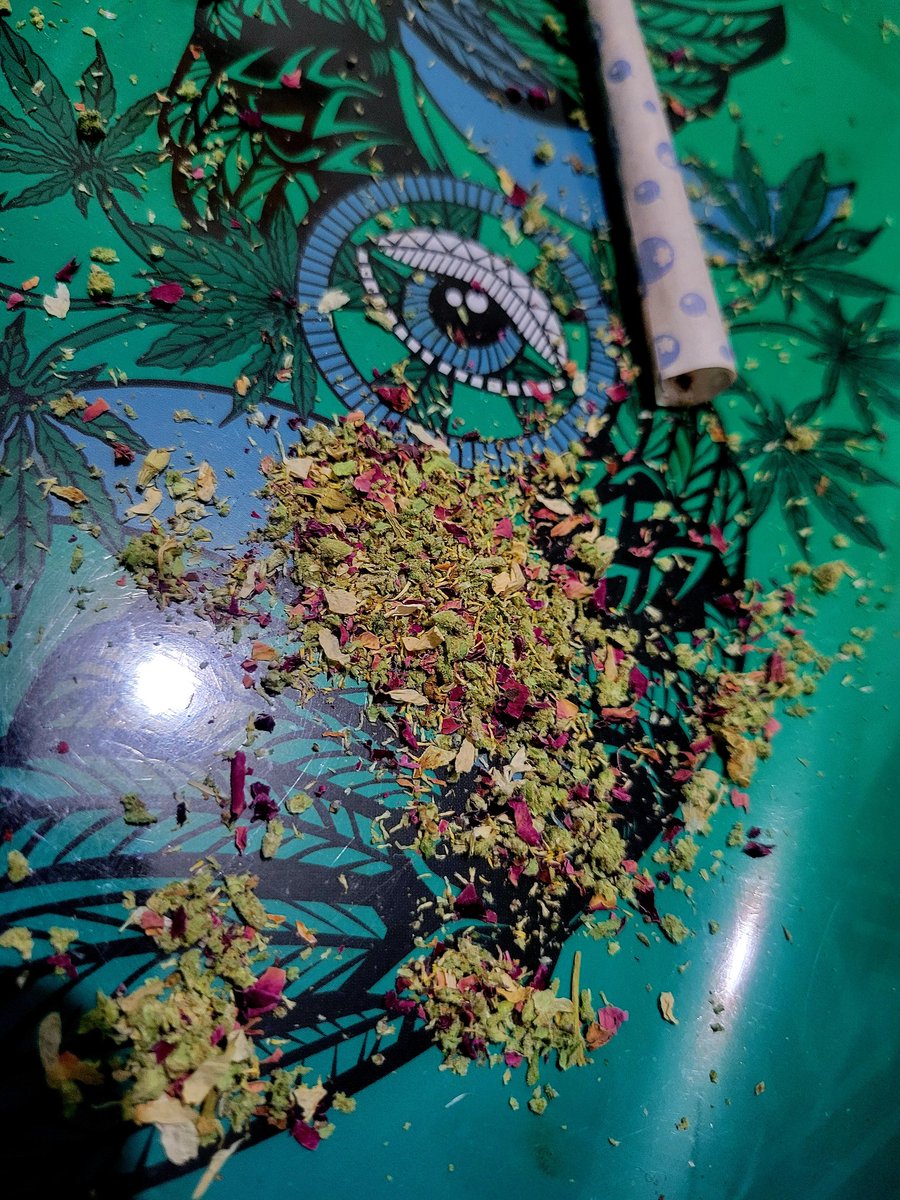 Bebi🪭 tweet media