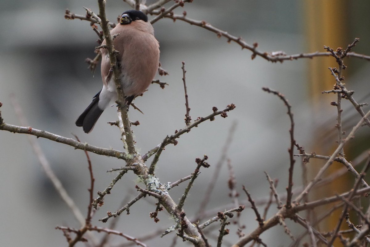 Gary Turnbull tweet media