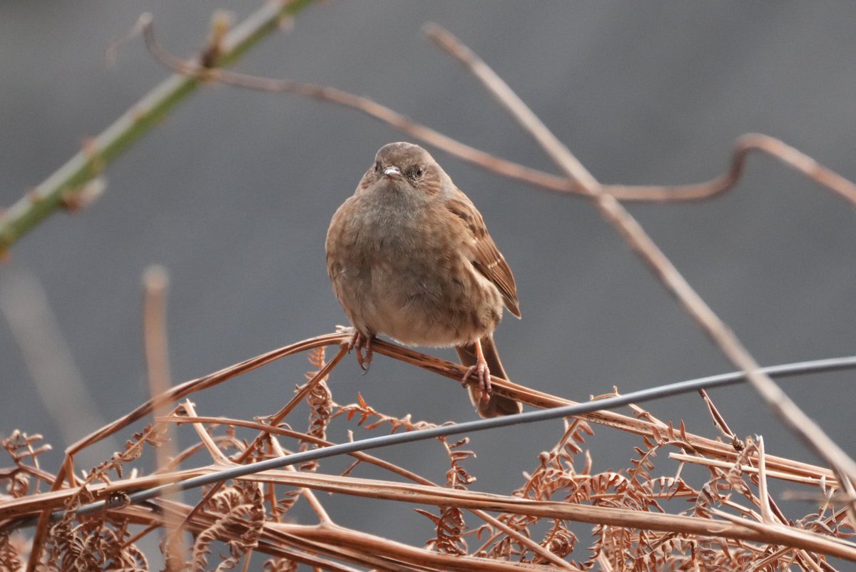 Gary Turnbull tweet media