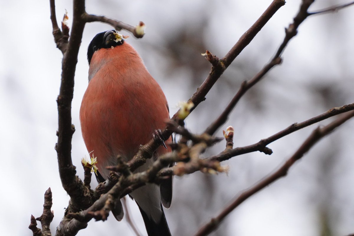 Gary Turnbull tweet media