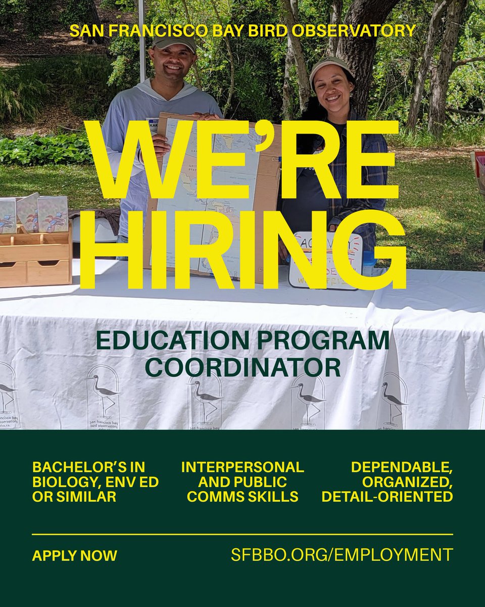 SF Bay Bird Observatory tweet media