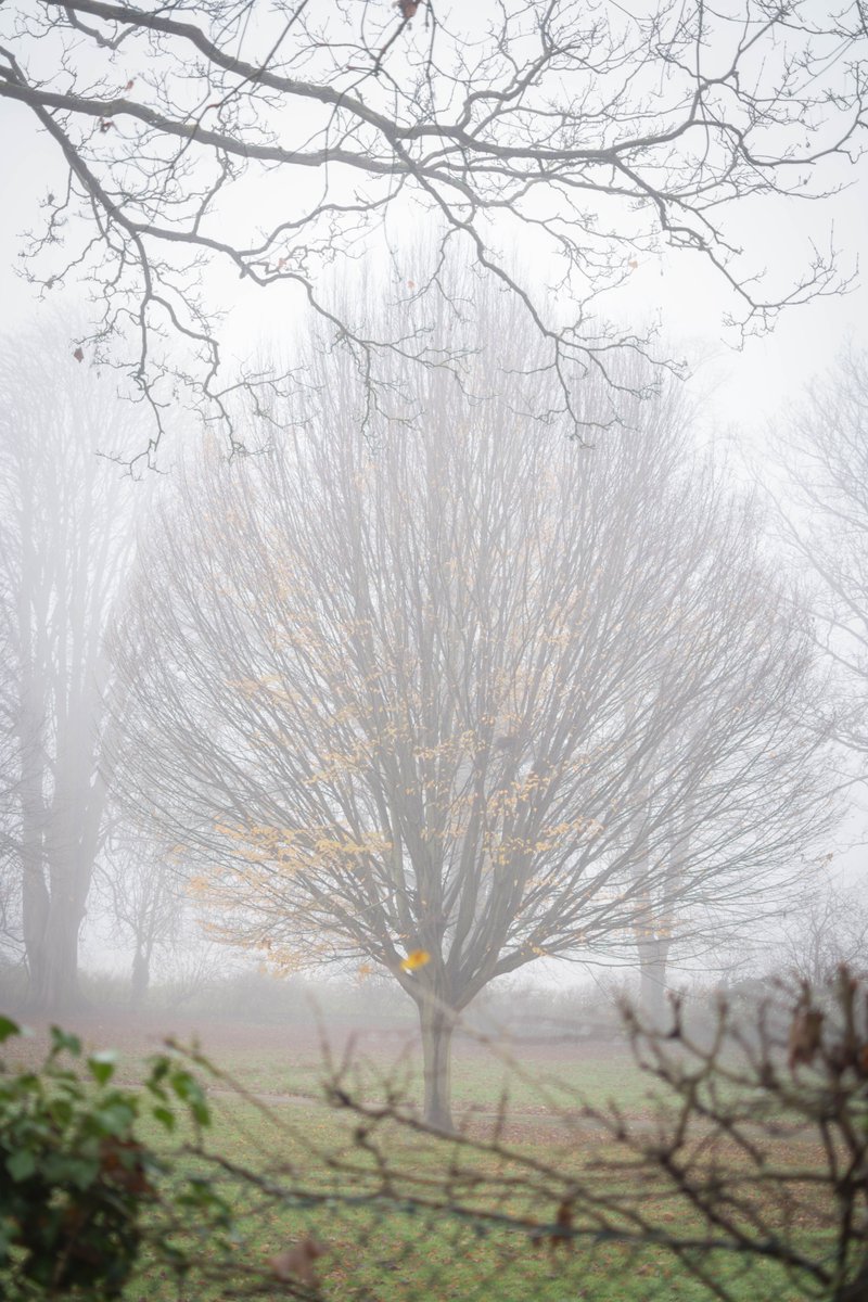 WeirdInTheWade tweet media