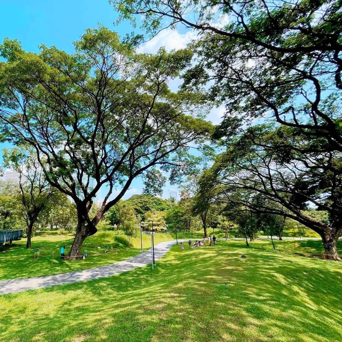 THE SENDER tweet media