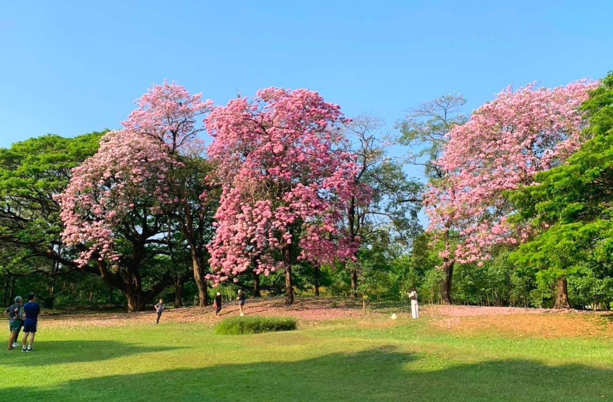 THE SENDER tweet media