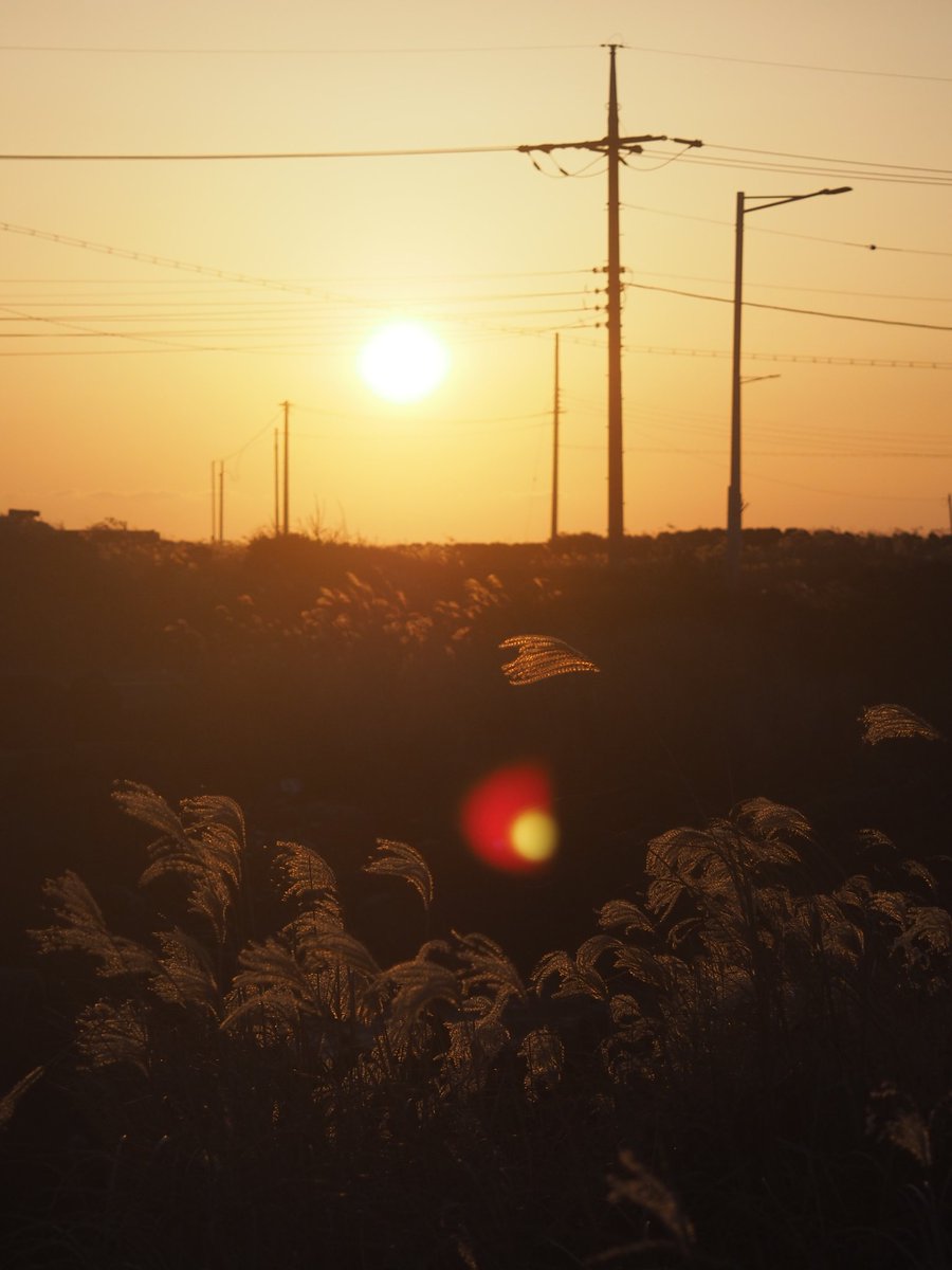 旭凪潮 tweet media