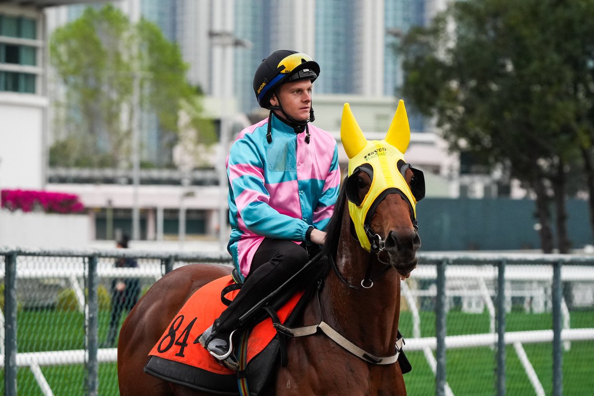 Hong Kong Racing tweet media