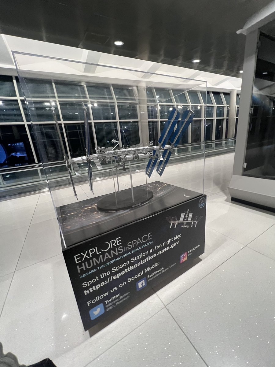 dani 🐆 tweet media