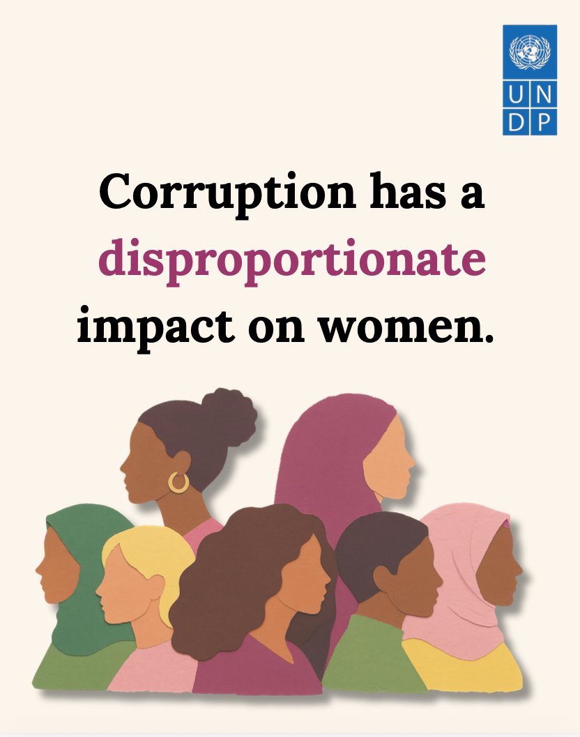UNDP Anti-Corruption tweet media