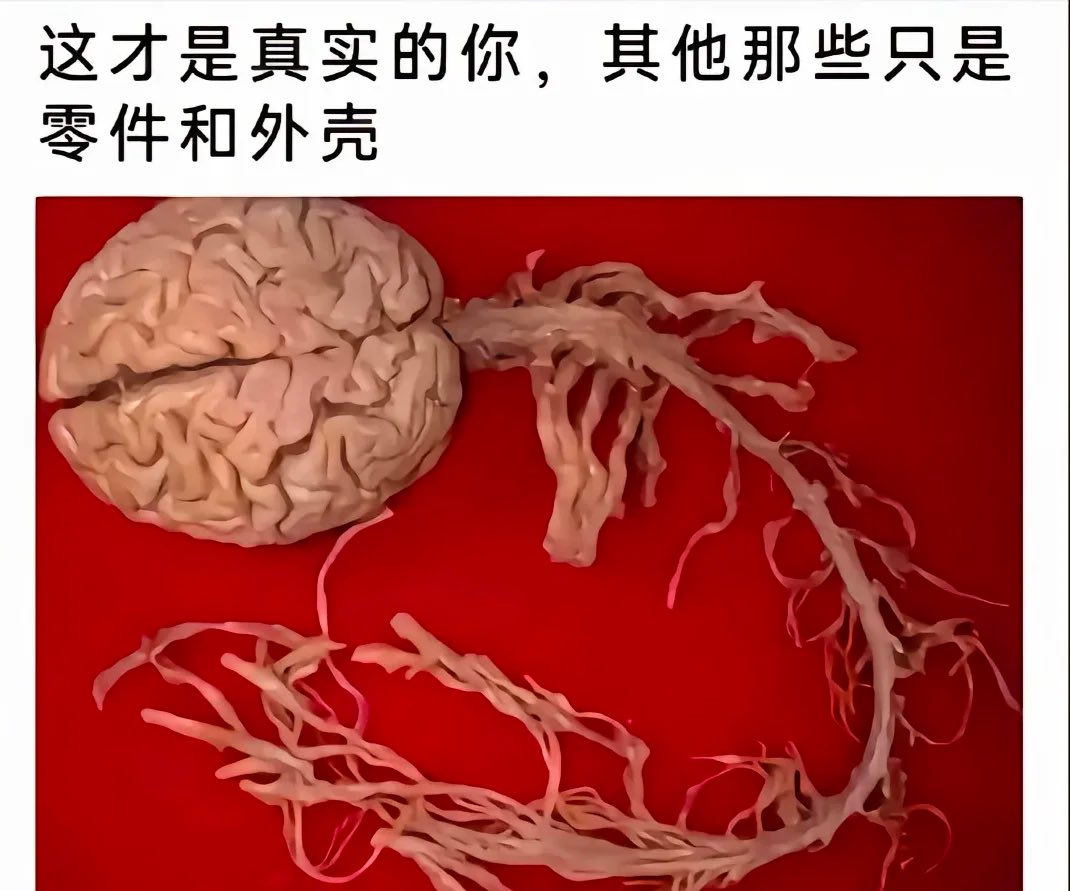 海月水母x17🍥 tweet media