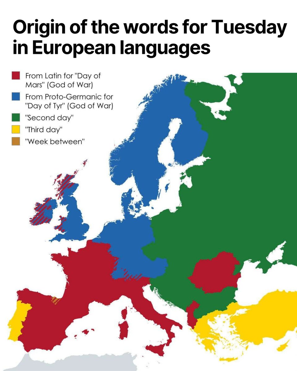 Xavi Ruiz tweet media