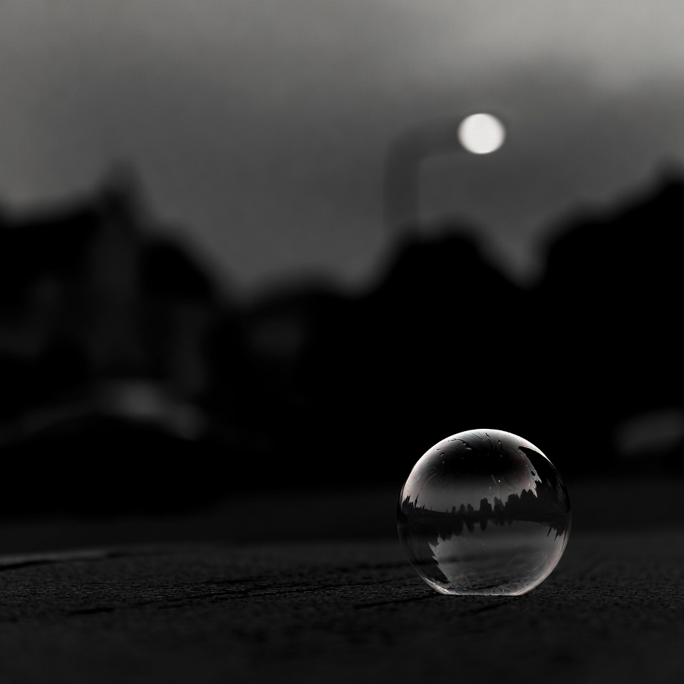 NoirOnTheVine's tweet image. 69.1

Inside the bubble 
everyone echoes: 

chintzy harmony.

▪️▪️▪️
#BraveWrite #vss365 #poetry