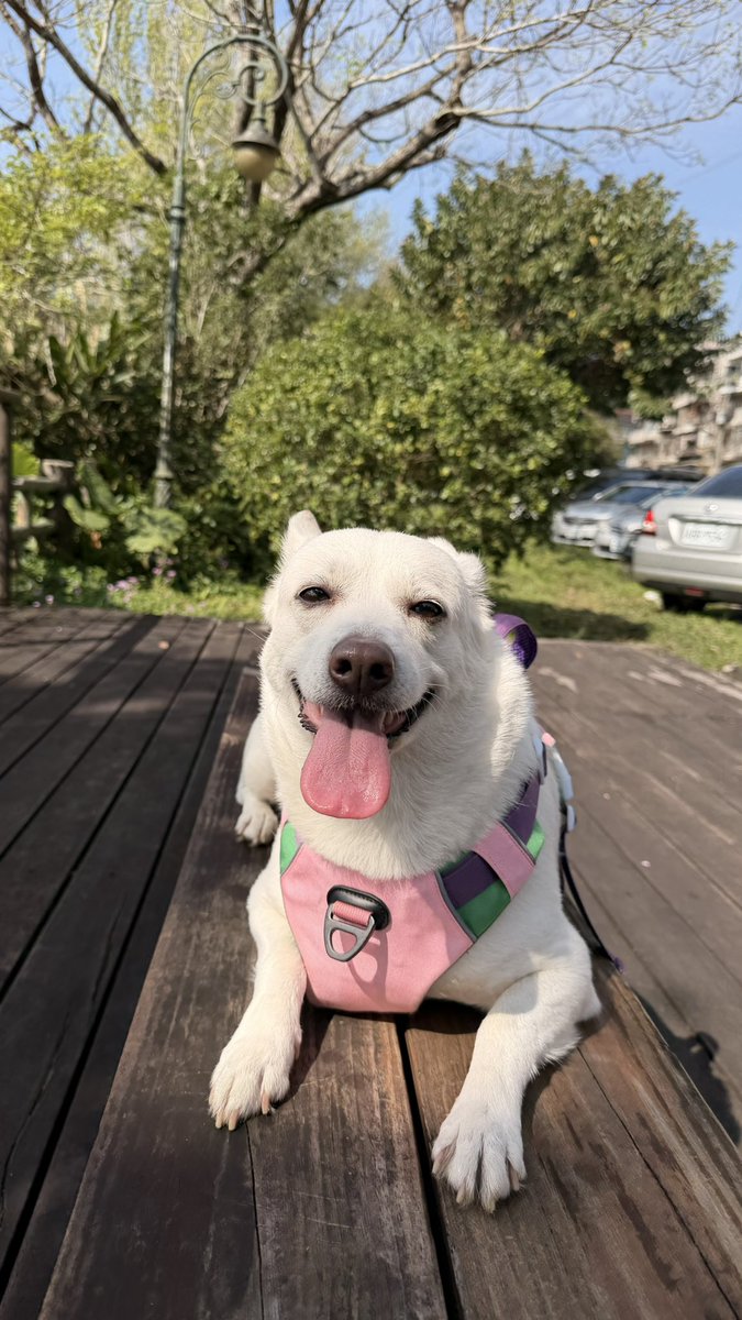 ellie.hype tweet media