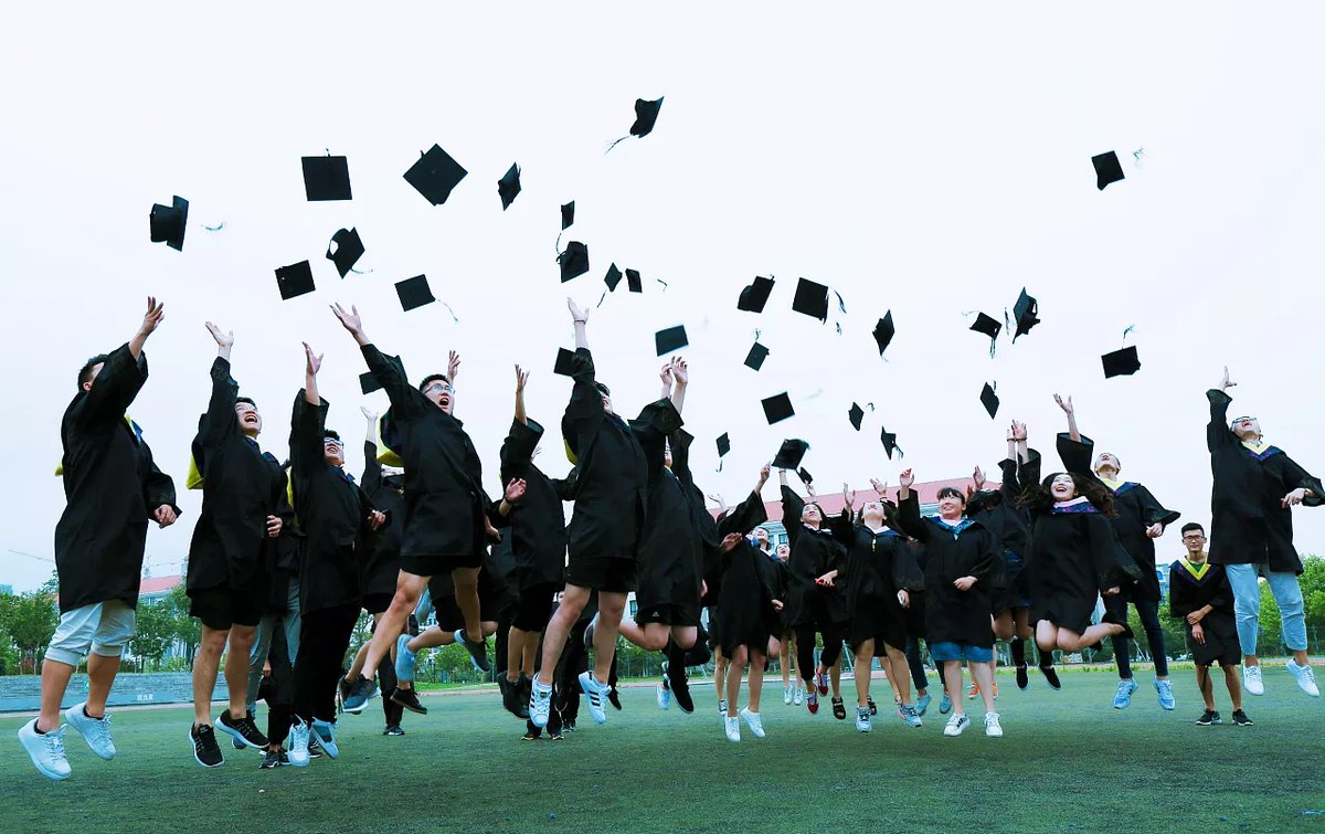 The Great Martis Consultant tweet media