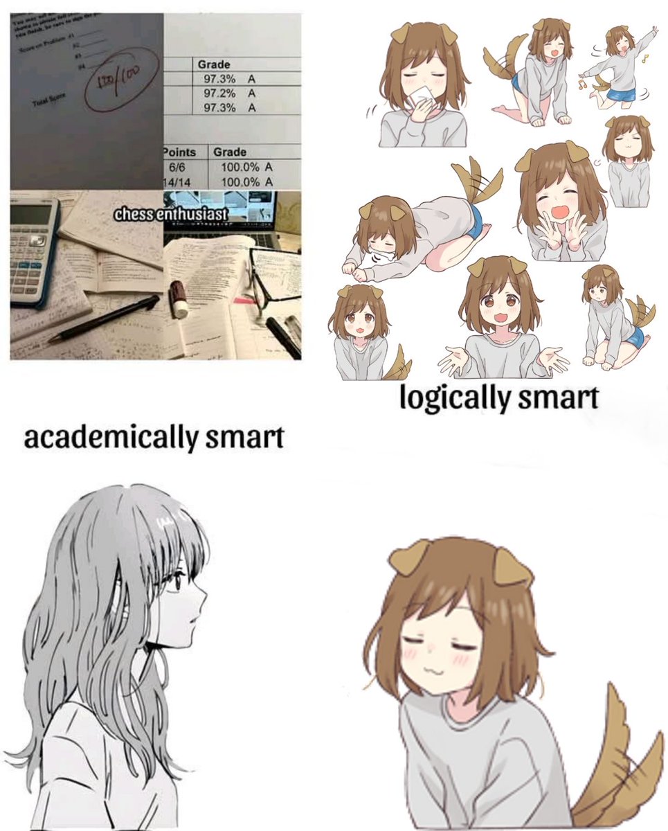 🇵🇱 tweet media