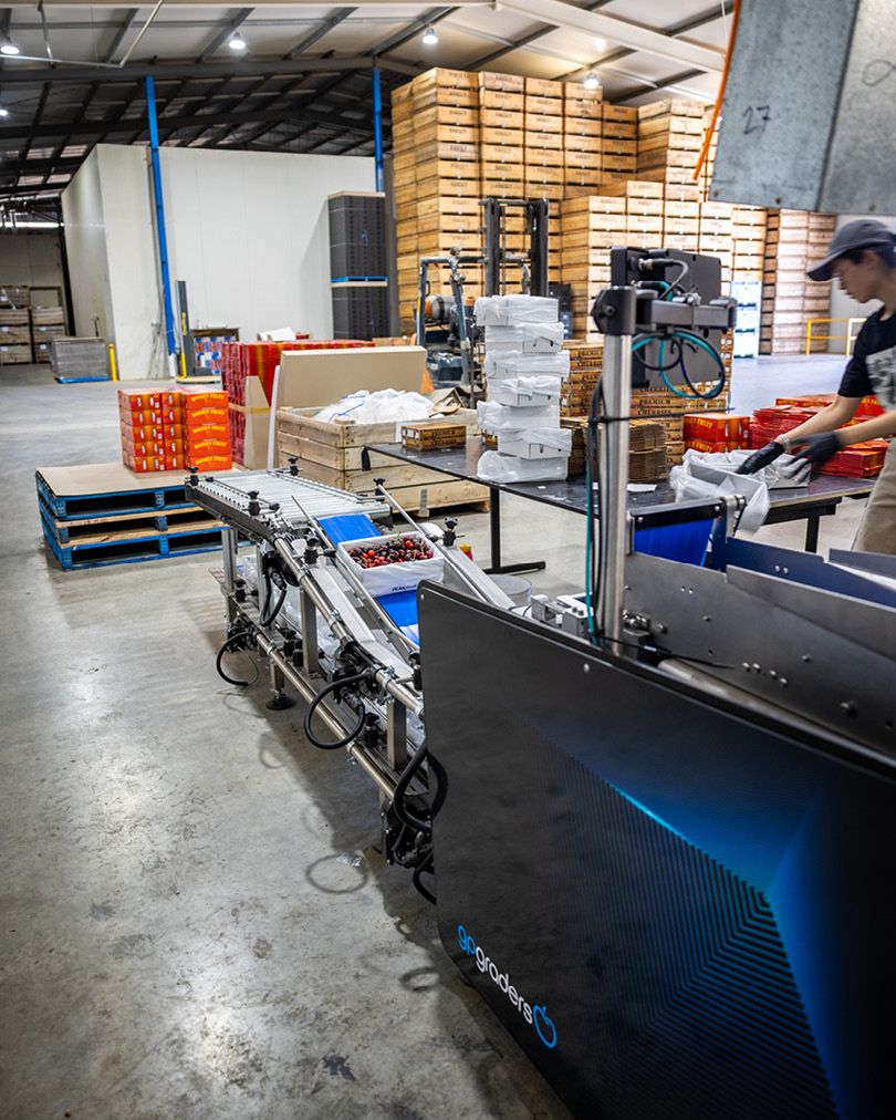 GPGraders's tweet photo. It feels like magic, but the results are real: our new automated fillers pack your 2kg cherry boxes with zero manual input.
--
#CherrySorting #CherryGrading #SuperiorSortingTechnology #gpVision #VisionSorting https://t.co/5RTGYMCEJw