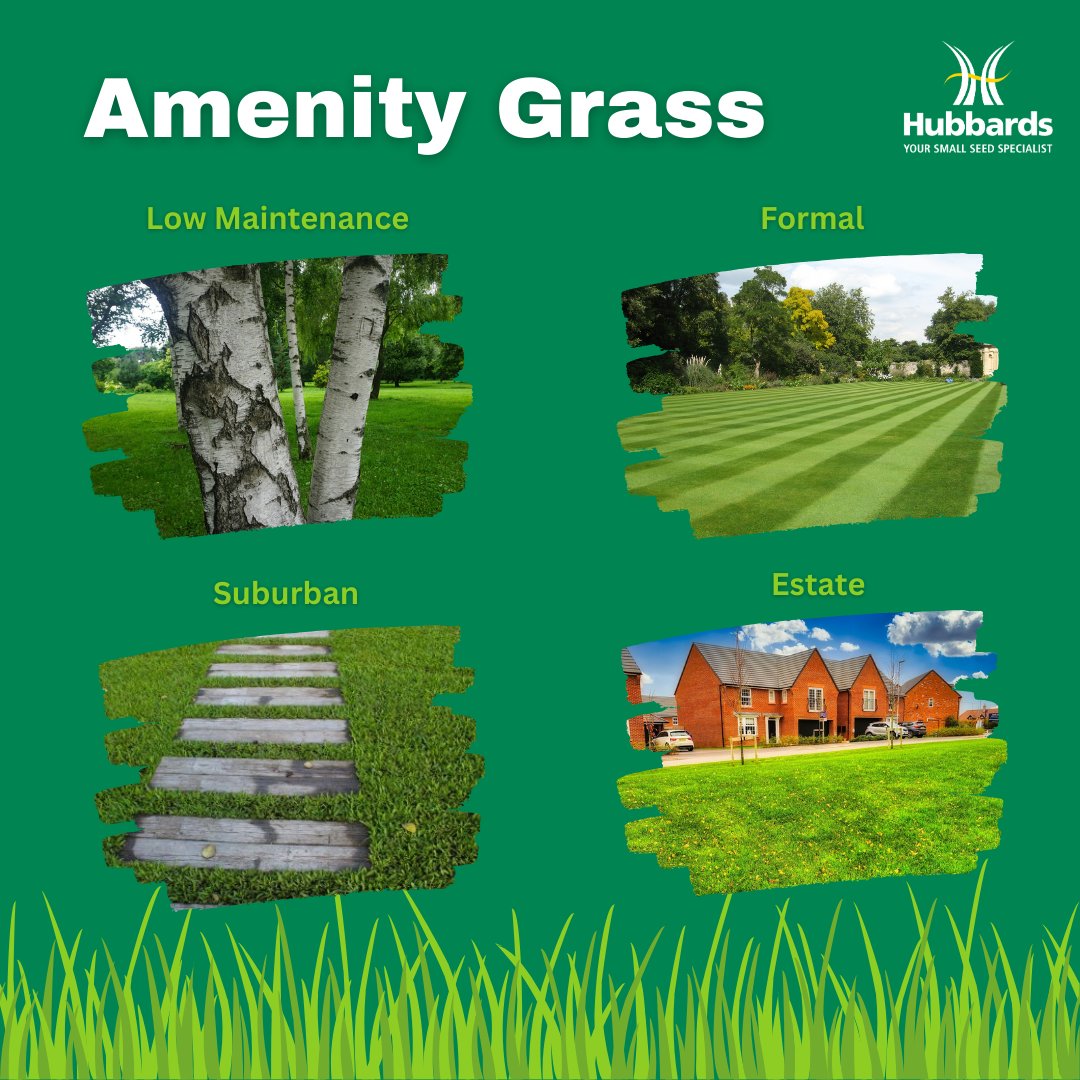 Hubbards Seeds tweet media