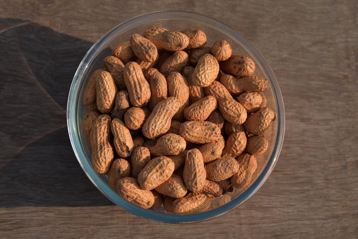 Seunfunmit's tweet photo. Groundnuts are not actually nuts.
They belong to the same family as beans and lentils. https://t.co/9x0jpSvLxy