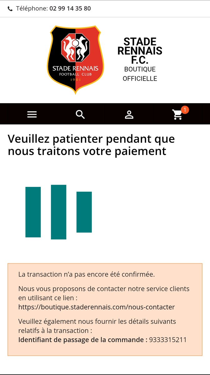 typeroyal🦊 tweet media