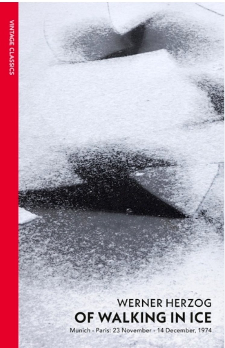 Evren Bülay tweet media