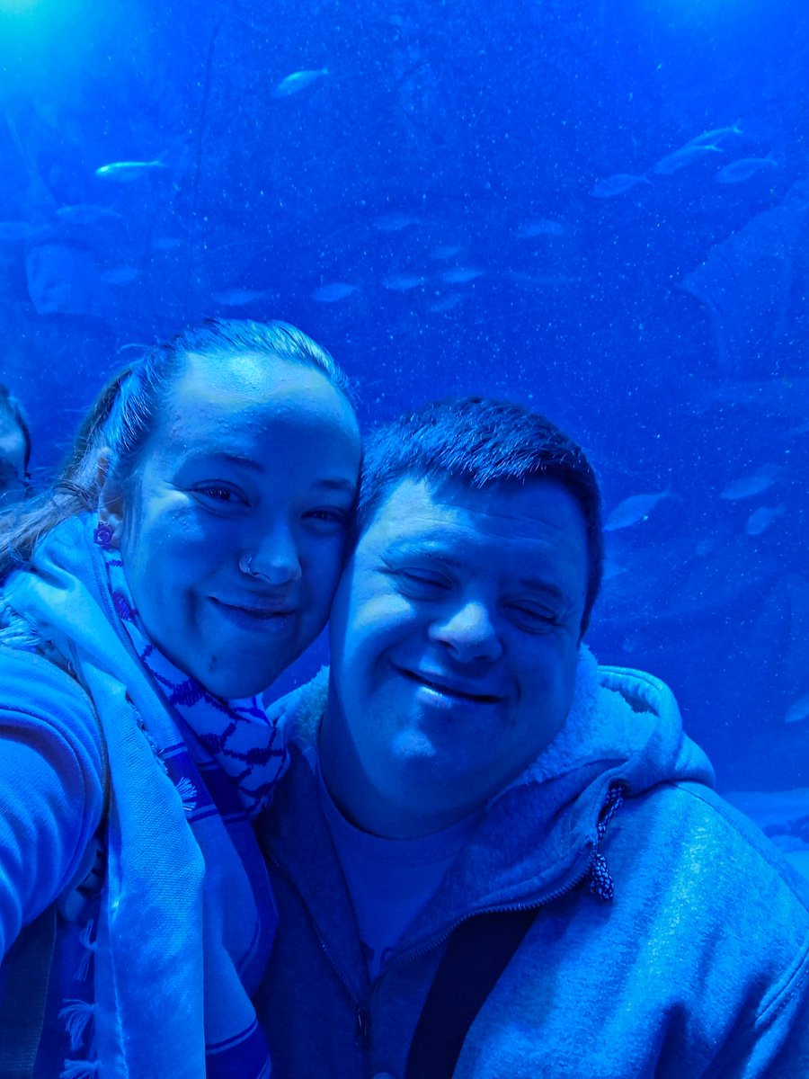 Ocio Grupo AMAS tweet media