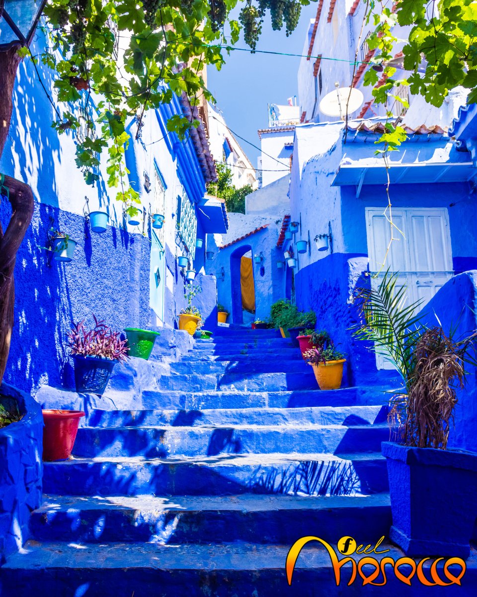 Feel Morocco tweet media