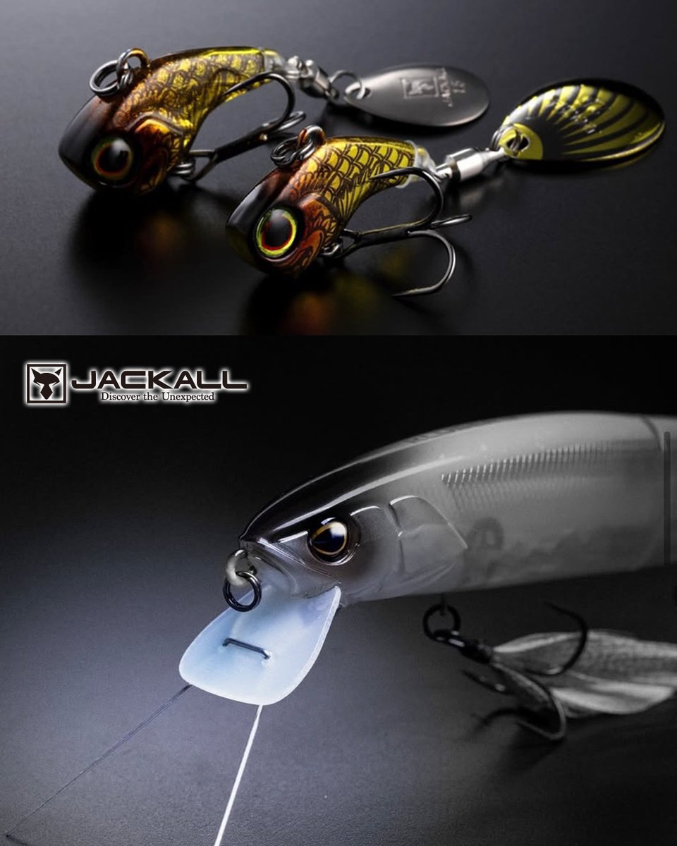 LureNewsR ルアーニュースアール tweet media