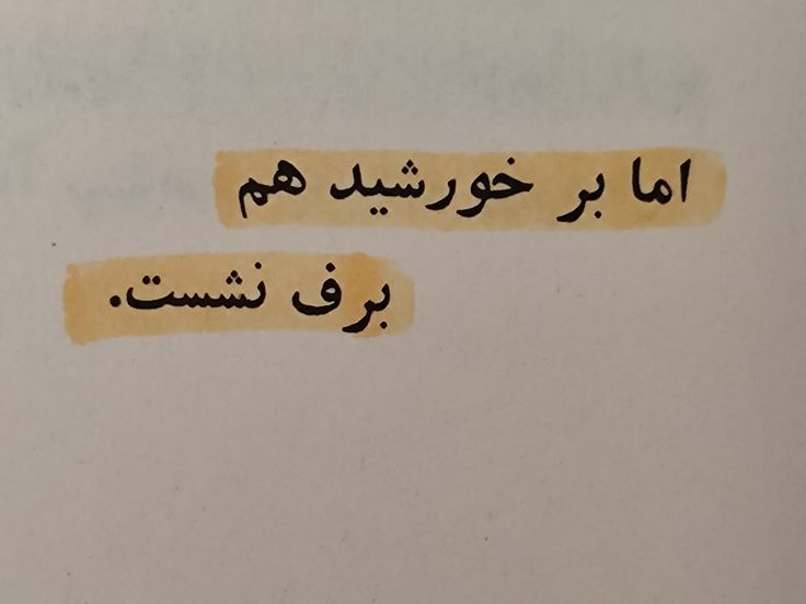 دختر ایران🇮🇷 tweet media