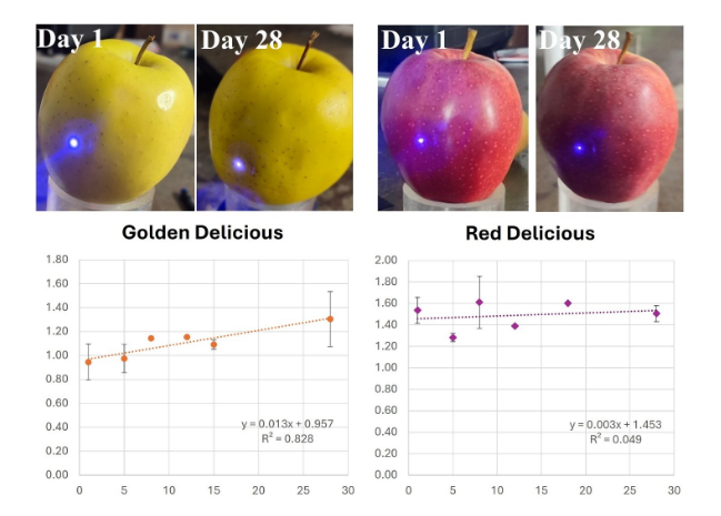 Condensed Matter MDPI tweet media